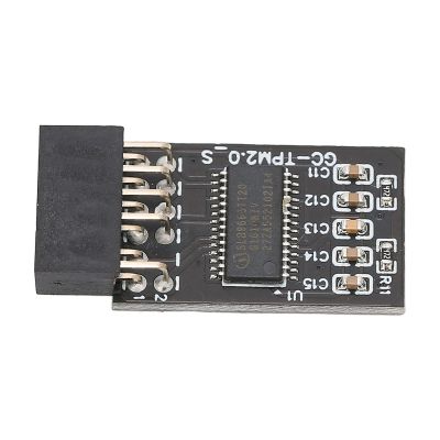 LOCADENCE TPM 2.0 Encryption Security Module, 12Pin LPC Interface High Security Remote Card Encryption Security Module for Gigabyte Platform Protection Module