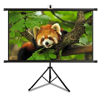 SDVantage Pull Down Projector Screen with Stand, 60"" 72"" Wall Mounted 4K HD Projection Screen with 4:3 16:9 Aspect Ratio, for Home Cinema Theater Presentation Education Outdoor Indoor (72)