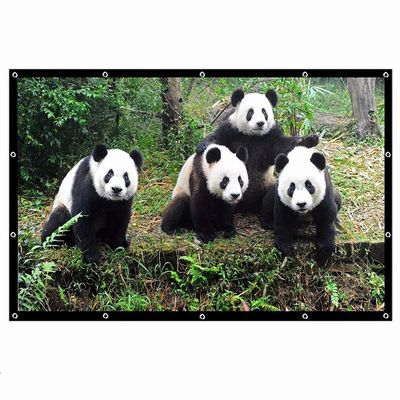 SDVantage Projector Screen, Screens for Projector Portable,60 100 120 Inch 16:9,Outdoor Movie Screen for Travel Home Theater (84 inch)