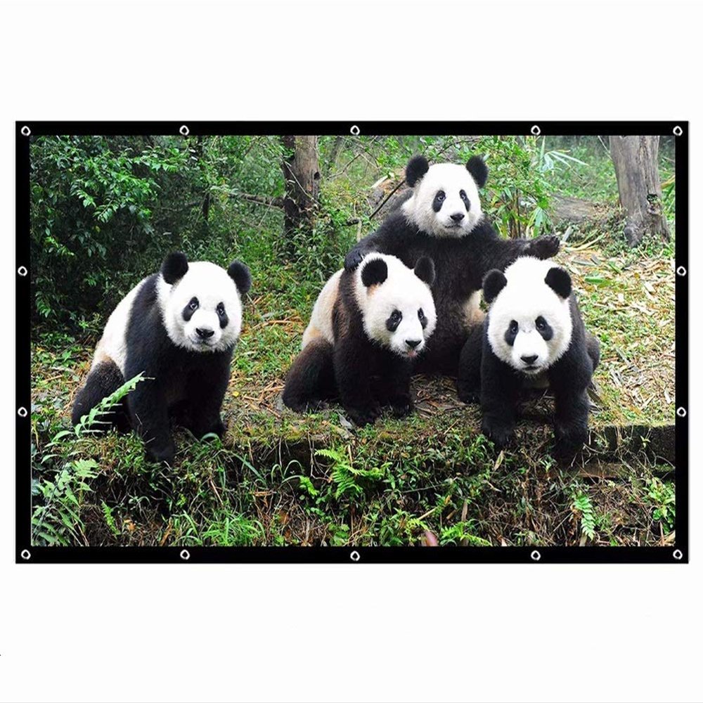 SDVantage Projector Screen, Screens for Projector Portable,60 100 120 Inch 16:9,Outdoor Movie Screen for Travel Home Theater (84 inch)