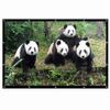 SDVantage Projector Screen, Screens for Projector Portable,60 100 120 Inch 16:9,Outdoor Movie Screen for Travel Home Theater (84 inch) view 1