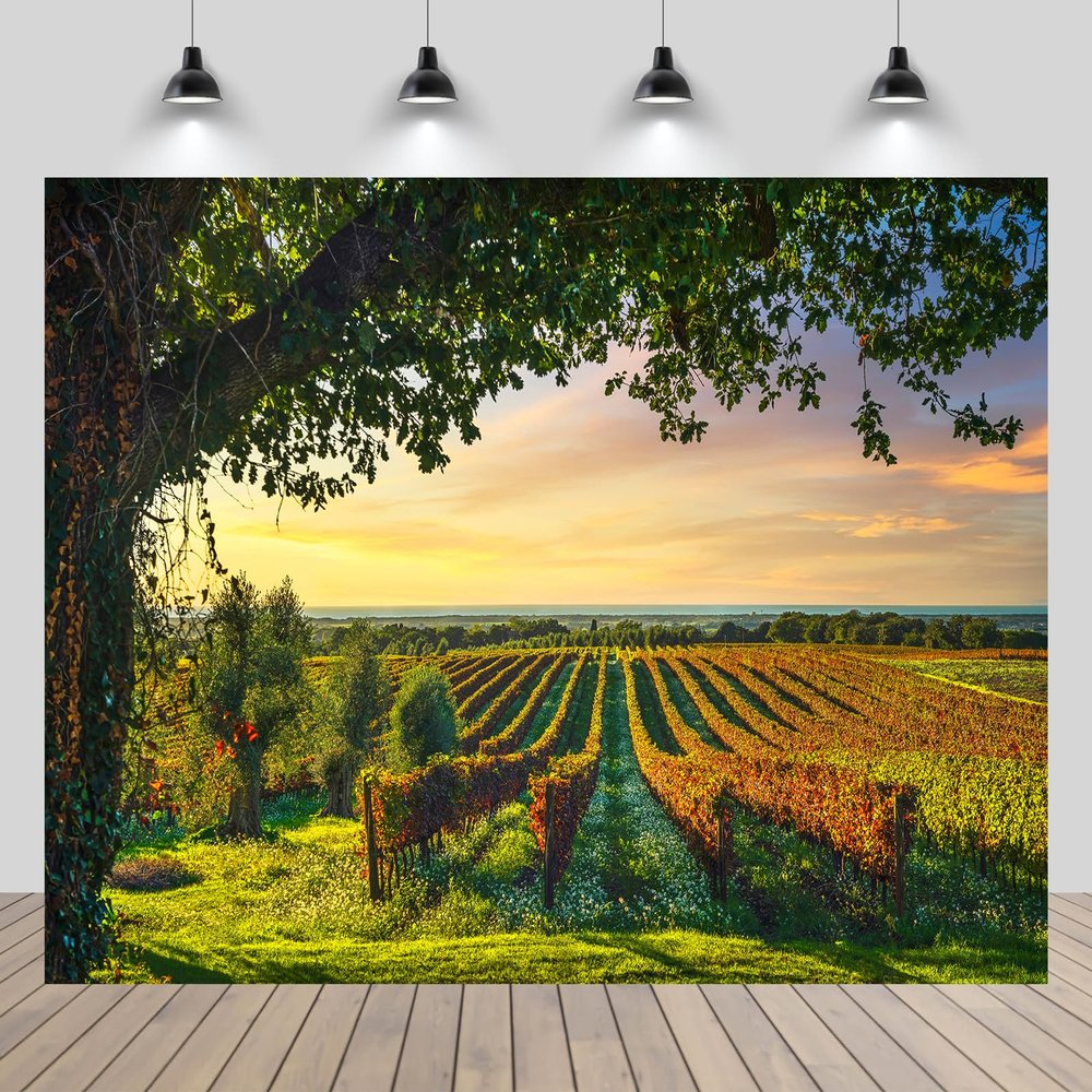chnywork 12x8ft Vineyards Backdrop Europe Italy Tuscany Olive Tree Grape Farm Autumn Sunset Countryside Scenery Background Grape Harvest Wine Party Decorations Photo Booth Props Wallpaper