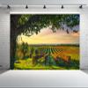 chnywork 12x8ft Vineyards Backdrop Europe Italy Tuscany Olive Tree Grape Farm Autumn Sunset Countryside Scenery Background Grape Harvest Wine Party Decorations Photo Booth Props Wallpaper view 2