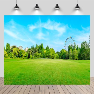 chnywork 12x10ft Green City Park Backdrop Green Grass Meadow Forest Ferris Wheel Blue Sky Scenery Background Nature Spring Picnic Camp Party Decor Photo Booth Studio Prop Wallpaper