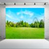 chnywork 12x10ft Green City Park Backdrop Green Grass Meadow Forest Ferris Wheel Blue Sky Scenery Background Nature Spring Picnic Camp Party Decor Photo Booth Studio Prop Wallpaper view 2