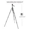 3 Legged Thing Punks Patti Video Magnesium Alloy Tripod Kit in Darkness (PATTIVIDEODARK2.0) view 3