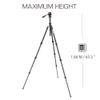3 Legged Thing Punks Travis Video Magnesium Alloy General Use Tripod Kit - Darkness Matte Black (TRAVISVIDEODARK2.0) view 3