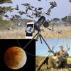 Bird Watching Monocular, 15-45x60 Zoom HD Large Objective Lens FMC,K4 Prism,Waterproof Telescope Connect A Mobile Phone with Tripod Good view 2