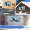 Outdoor TV Cover Waterproof Weatherproof 70 to 75 Inch, Eagle Flying Blue Sky Clouds Wings Eagle Animal Outside TV Covers with Zipper Flap, TV Screen Protectors for LED LCD OLED Television view 4