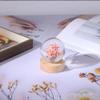 suruim Daisy Flower Crystal Ball Night Light, Floral Resin Lamp Decor, Cute Daisy Gifts for Women and Girls, Flower Night Light for Bedroom, Living Room, or Office (Red Daisy) view 3