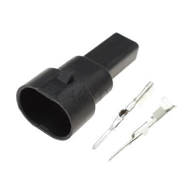 TakenE 1 Set 2 Pin Male Female Water Temperature Sensor Plug Automobile Waterprof Connector 12162197 12162195 12162193 (Color : Male Set)