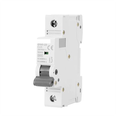 PGMTDEFXJO Circuit Breaker Gym9 Single Phase Mini Circuit Breaker Heals from 8 0a 100a 125a 1p Width 17.8mm 230/40 0V 6ka (Color : 125a, Size : 1 Pole C Curve)