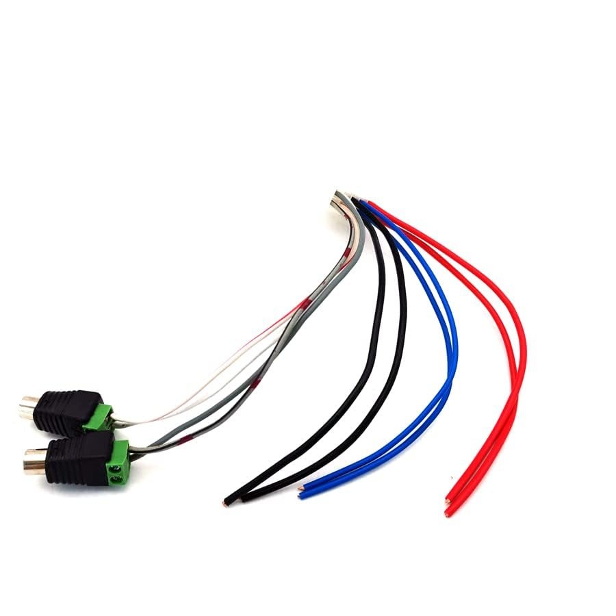 10 Pin Power Input Wire Harness with RCA Connector for Dual Tbx10a Amplifier