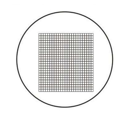 Microscope Kit 22mm Diameter Micrometer Microscope Calibration for Microscope Microscope Lens Adapters (Color : MS-1-P9)