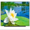 17.3" HD+ LCD Screen Replacement LED Display for HP 17Z-CP000 17Z-CP100 17Z-CP300 (Non-Touch) view 2