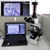 Joebo Microscope Kit 1X C-Mount Adapter Lens for Trinocular Microscope Connected to Digital Camera Adjustable with Cross Reticle Scale Micrometer Microscope Lens Adapters view 3