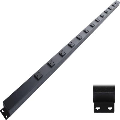 48 Hardwired Power Strip (NO Power Cord), 12 Vertical Outlets (NOT Tamper Resistant), with Ears (with mounting tabs on Both Ends), 15A (NOT a 20 Amp Unit), USB, Black