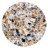 100 Pcs Waterproof Cute Cat Stickers for Water Bottles, Kawaii Stickers Pack Set Funny Cat Stickers for Laptop Guitar Luggage Vinyl Stickers for Adults Girls Teens Kids Toddlers view 1