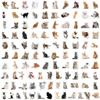 100 Pcs Waterproof Cute Cat Stickers for Water Bottles, Kawaii Stickers Pack Set Funny Cat Stickers for Laptop Guitar Luggage Vinyl Stickers for Adults Girls Teens Kids Toddlers view 3