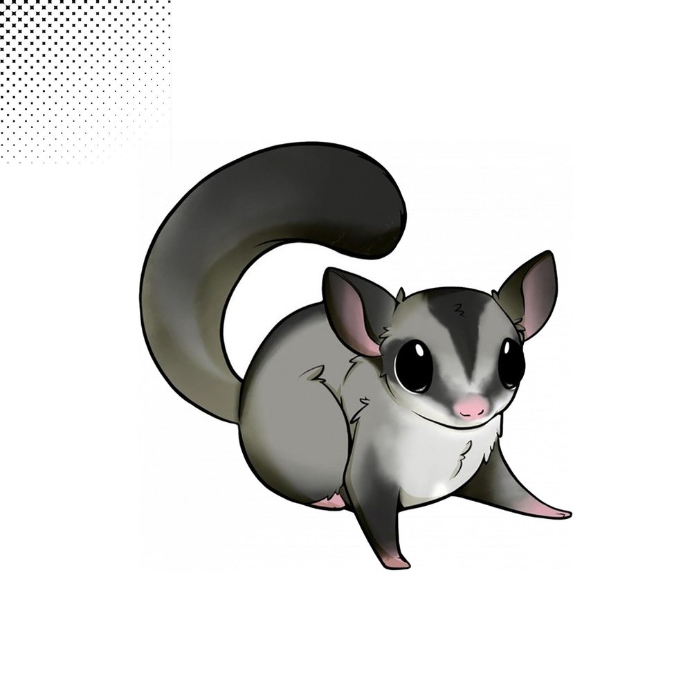 Tgiakisz Sugar Glider Sticker, Gift for Animal Lover, Animals Sticker, Mouse Sticker, 2x2in, White