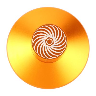 Gsycle Record Weight Stabilizer, Aluminum Record Clamp Aluminum Turntable Weight Vibration Reducer Audio Disc Turntable Stabilizer for Record Player(Gold)