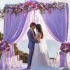 10x10 Lavender Backdrop Curtain for Parties Weddings, Wrinkle-Free Polyester Fabric Indoor and Outdoor Decoration Light Purple Backdrops Drapes for Baby Showers Birthday view 2