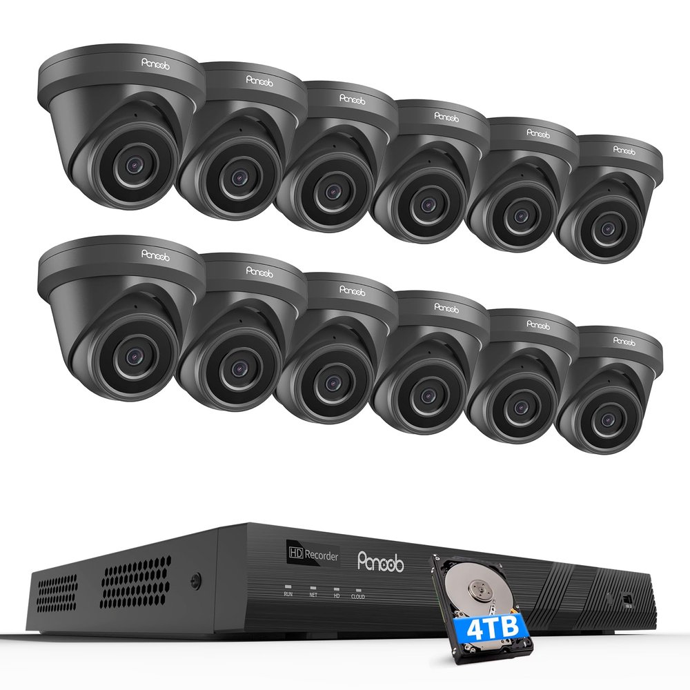 PANOOB 16 Channel Security Camera System, 12x 5MP Wired IP Dome Turret PoE Camera Outdoor, AI Human Detection, Built-in Mic, Remote Access, 4K 16 Channel NVR 4TB HDD for 24-7 Recording, PD93A31216-5M