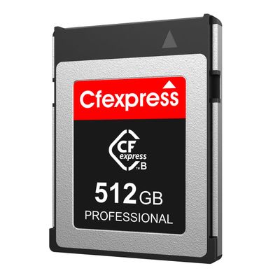 512GB CFexpress Type B Memory Card, Up to 1700MB/s, CF Express Card Type-B RAW 8K Video Recording Compatible with Nikon D5/D6/Z7/Z9, Canon EOS R5, Panasonic (512, GB)