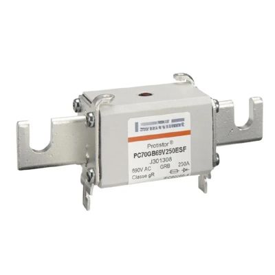 CIZVVEOC PC70GB69V100D1A Q302027 PC70GB69V125D1A S302742 PC70GB69V160D1A R301591 PC70GB69V200D1A S301592 Fuse(Color:PC70GB69V160D1A)