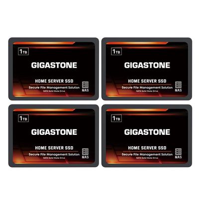 Gigastone Home Server SSD 1TB NAS SSD Drive Cache (4-Pack) 24/7 Durable TLC High Endurance Personal Cloud Data Sync Network Attached Storage RAID 3D NAND 2.5" SATA Internal Solid State Hard Drives