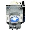 JISIZKY LMP-D213 Replacement Module Lamp Bulb with Housing for Projector Sony VPL DW120/VPL DW125/VPL DW126/VPL DX100/VPL DX120/VPL DX125/VPL DX126/VPL DX140/VPL DX145/VPL DX146, White view 1