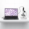 IGZVMBO Optical Microscope 200x Biological Microscope for Scientific Experiments, 280*110*160mm view 3