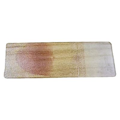 Plasmodium Falciparum Trophozoite Smear Prepared Microscope Slides 1 Pieces