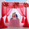 20x10 Red Tulle Backdrop Curtains for Parties, Sheer Backdrop Curtain Wedding Photo Background Drapes for Baby Shower Photography Birthday Party view 3