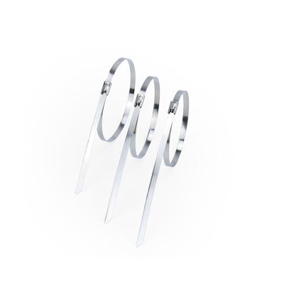 100Pcs 304 Stainless Steel Cable Ties Heavy Duty Self-Locking Multi-Purpose Metal Exhaust Wrap(Color:4.6mm x 200mm), WANGZC001