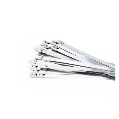 100Pcs 304 Stainless Steel Cable Ties Width 7.9mm Heavy Duty Self-Locking Multi-Purpose Metal Exhaust Wrap 100/200/300/500/550mm(Color:7.9mm x 300mm)