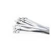 100Pcs 304 Stainless Steel Cable Ties Width 7.9mm Heavy Duty Self-Locking Multi-Purpose Metal Exhaust Wrap 100/200/300/500/550mm(Color:7.9mm x 300mm) view 1