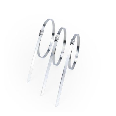 100Pcs 304 Stainless Steel Cable Ties Width 10mm Heavy Duty Self-Locking Multi-Purpose Metal Exhaust Wrap 200/300/500/400mm(Color:10mm x 500mm)