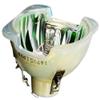 JISIZKY BL-FP350A Premium Replacement Bare Lamp Bulb for Projector OPTOMA TX783/TX783L/EP783/EP783S view 1