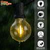 Holiday Bright Lights Belle Luci G40 Replacement Bulbs, Set of 25 Single Filament LED Bulbs for Outdoor Patio String Lights view 3