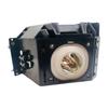 Advanced Lamps BP96-00677A Lamp & Housing for Samsung TVs view 1