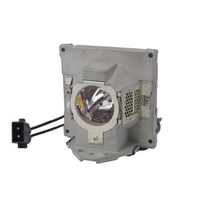 Advanced Lamps Lamp & Housing for The BenQ SP920P (#1) Projector