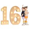TQQEPOOL Light Up Letters Birthday Decoration,LED Letter Number Light Light Sign Decoration, Marquee Letters Number for Wedding Graduation Baby Shower(16,70cm) view 1