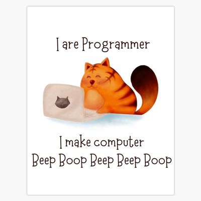 Leyland Designs I are Programmer| Cat Programmer Bumper Sticker Window Water Bottle Decal 5""