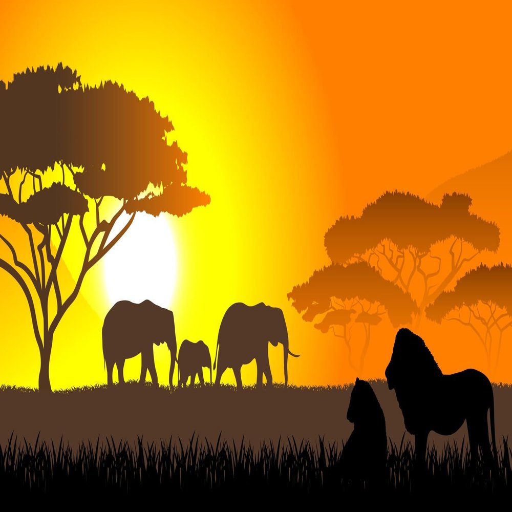 Loccor 17x10ft Fabric African Safari Backdrop Sunset Elephant Family Lions Silhouette Background Safari Animal Theme Birthday Party Decorations Baby Shower Photo Props