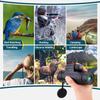 DirectNine Basics Portable Monocular Monocular Telescope 10x42 High Power Waterproof BAK4 Prism Monocular with Phone Holder & Tripod for Bird Watching Camping Travelling Wildlife for Adult Bird view 2