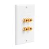 Bealuffe Speaker Wall Plate Speaker Wire Wall Plate, Audio Jack Banana Plug Wall Plate for 2 Speakers view 1