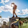 DirectNine Basics Portable Monocular 20 X 50 Powerful Binoculars for Adults, High Magnification Long Distance Zoom Telescope, Wide Angle Professional Binoculars for Hiking Camping view 3
