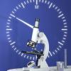 ZHCHAO Microscope for Primary and Secondary School Students in Optics view 4