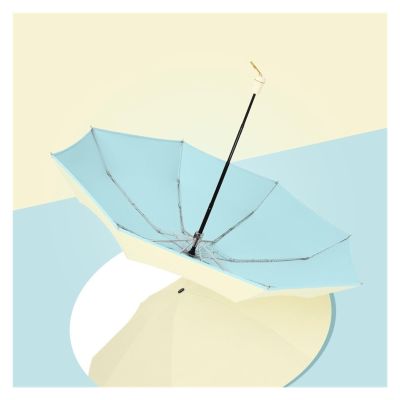 RENEESME Umbrellas for Rain Large Umbrella Mini Portable Umbrella Rain Or Shine Dual-Purpose Folding Extra Large Parasol Strong Umbrella for Wind and Rain(Color:A)